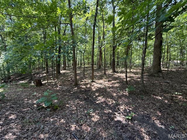 41 Greenview Dr, Boone Township, MO 63341 - photo 8