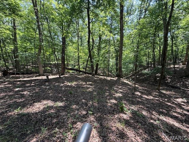 41 Greenview Dr, Boone Township, MO 63341 - photo 10