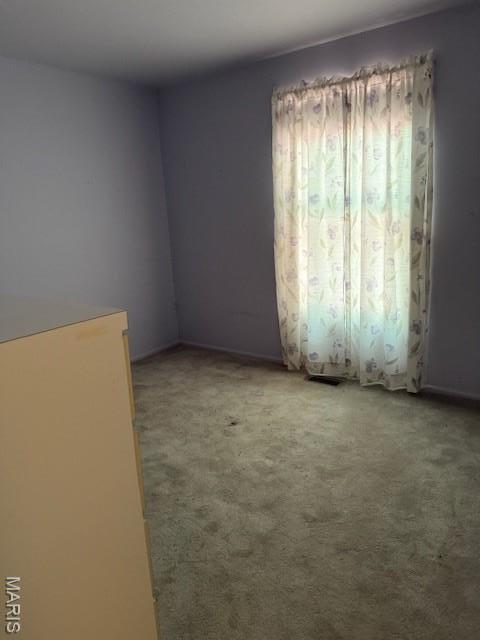 41 Greenview Dr, Boone Township, MO 63341 - photo 22