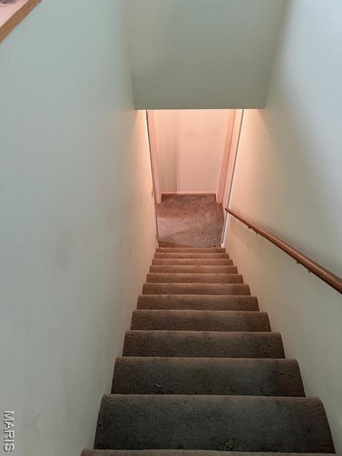 41 Greenview Dr, Boone Township, MO 63341 - photo 33