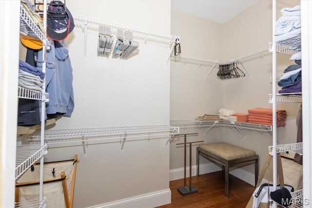 1226 Dolman St, Saint Louis, MO 63104 - photo 25