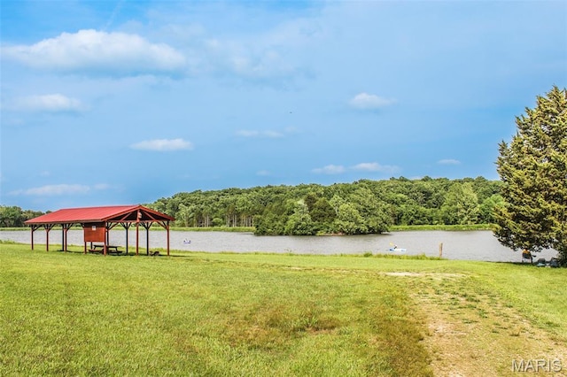 749 Lakeview Dr, Leslie, MO 63056 - photo 2