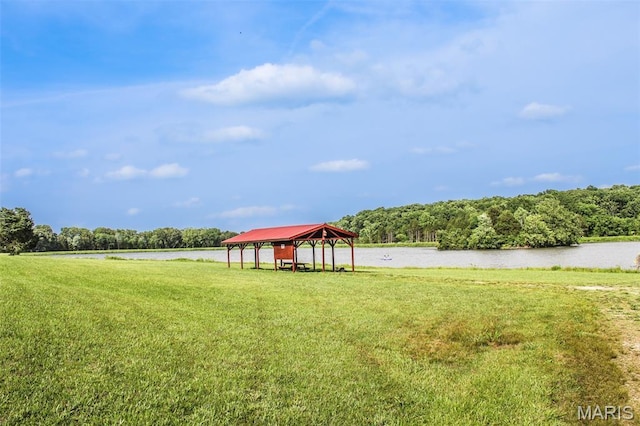749 Lakeview Dr, Leslie, MO 63056 - photo 3