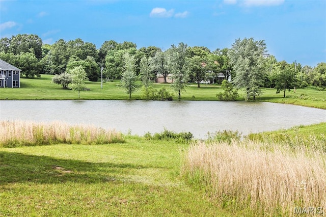 749 Lakeview Dr, Leslie, MO 63056 - photo 6