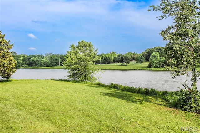 749 Lakeview Dr, Leslie, MO 63056 - photo 8