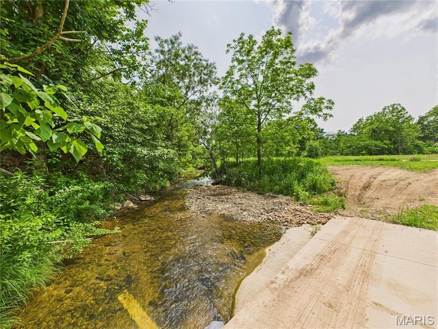 284 Wayne 349, Piedmont, MO 63957 - view of yard