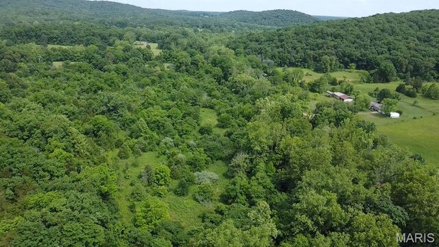 284 Wayne 349, Piedmont, MO 63957 - aerial view of property and surrounding area with a forest