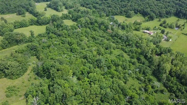 284 Wayne 349, Piedmont, MO 63957 - aerial view of property's location featuring a forest