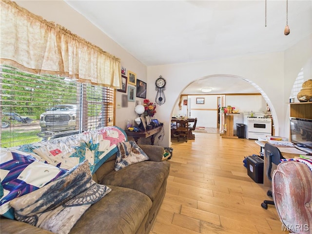 284 Wayne 349, Piedmont, MO 63957 - living room featuring arched walkways and wood-type flooring