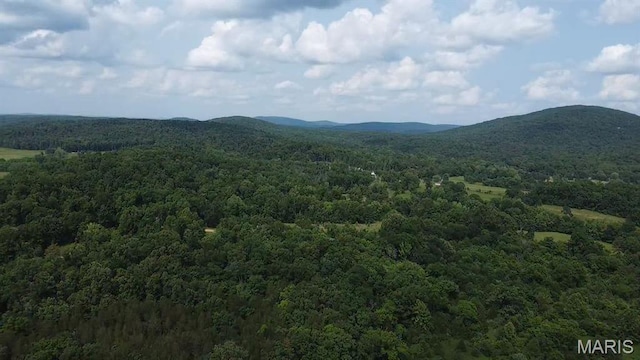 284 Wayne 349, Piedmont, MO 63957 - mountain view featuring a forest