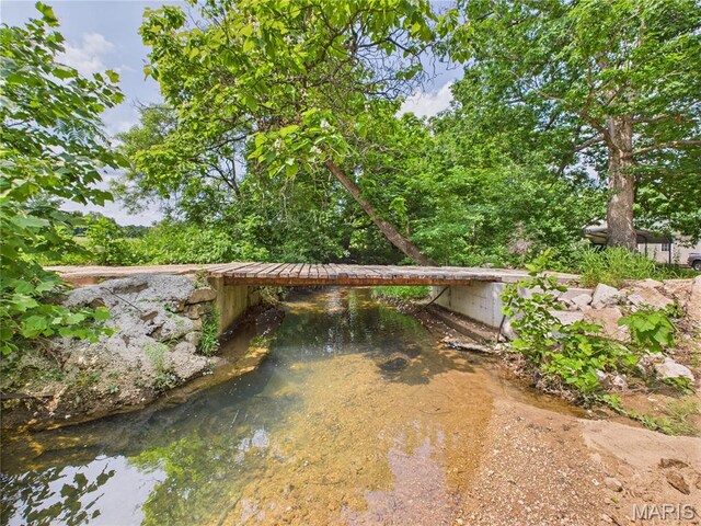284 Wayne 349, Piedmont, MO 63957 - view of yard