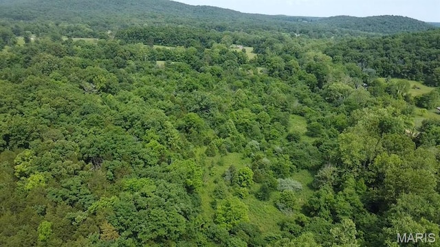 284 Wayne 349, Piedmont, MO 63957 - bird's eye view of a heavily wooded area and a mountain backdrop