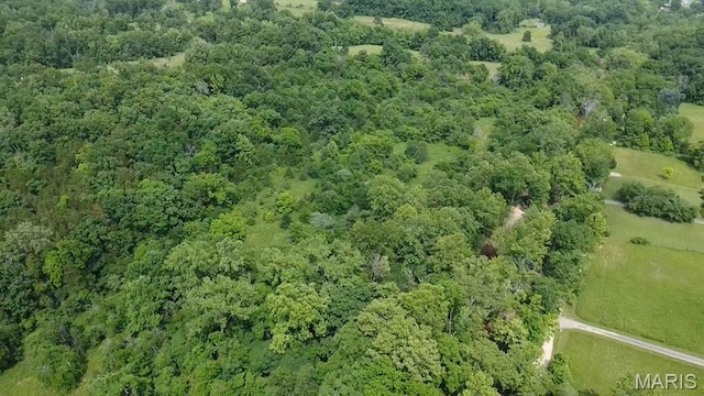 284 Wayne 349, Piedmont, MO 63957 - aerial overview of property's location with a forest