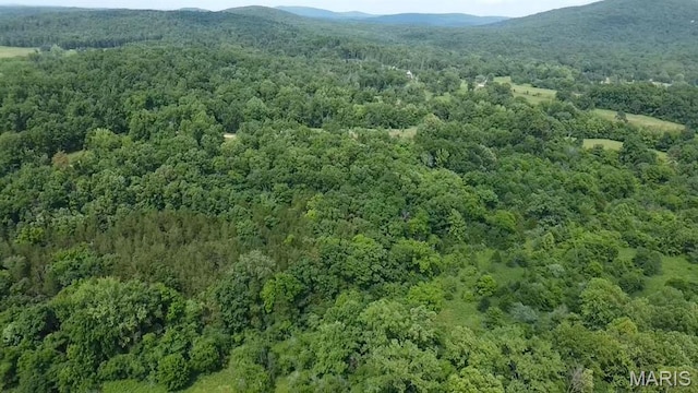 284 Wayne 349, Piedmont, MO 63957 - bird's eye view of a mountainous background and a heavily wooded area