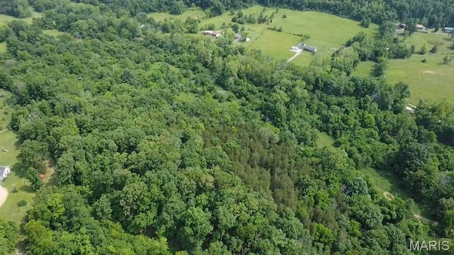 284 Wayne 349, Piedmont, MO 63957 - aerial view of property's location featuring a forest