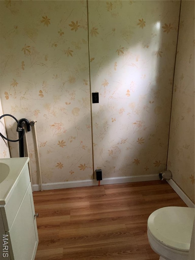 215 Berry St, Gillespie, IL 62033 - bathroom featuring wood finished floors, vanity, toilet, and baseboards