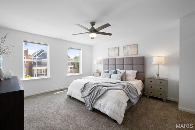 2747 Rutger St, Saint Louis, MO 63104 - photo 19