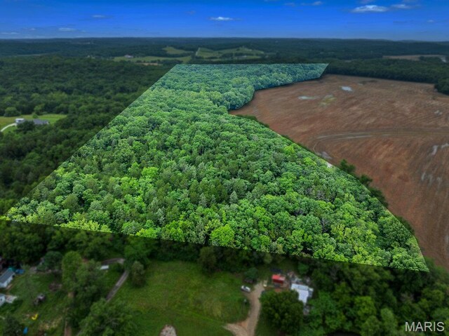 66.9 Acres Hwy, Ah, Union, MO 63084 - photo 10