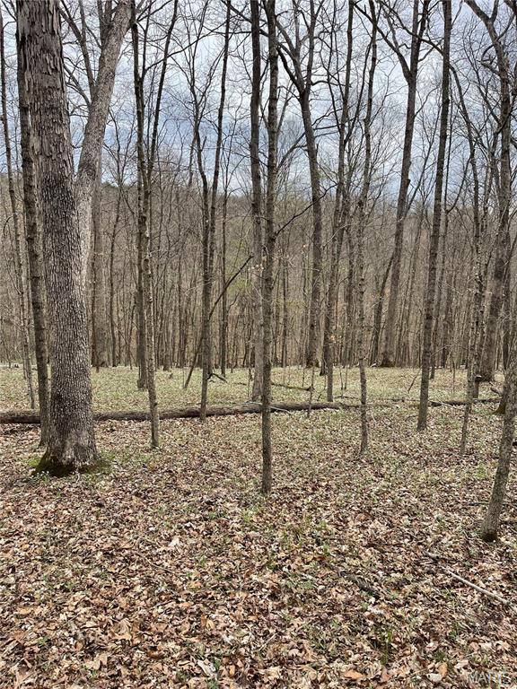 66.9 Acres Hwy, Ah, Union, MO 63084 - photo 12
