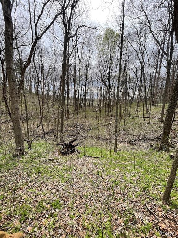 66.9 Acres Hwy, Ah, Union, MO 63084 - photo 13