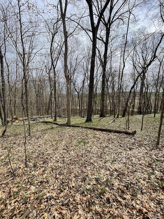 66.9 Acres Hwy, Ah, Union, MO 63084 - photo 14