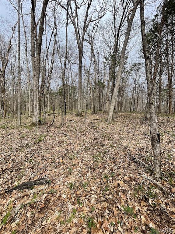 66.9 Acres Hwy, Ah, Union, MO 63084 - photo 15