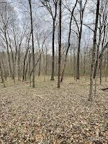 66.9 Acres Hwy, Ah, Union, MO 63084 - photo 16