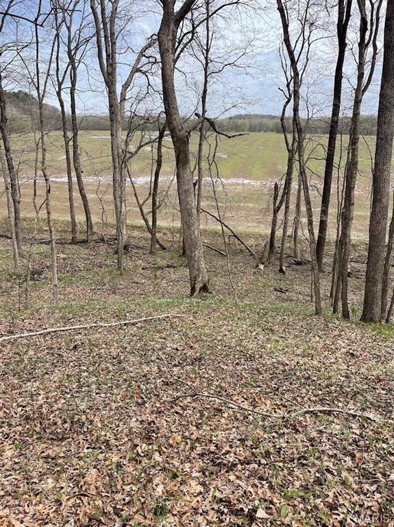 66.9 Acres Hwy, Ah, Union, MO 63084 - photo 20