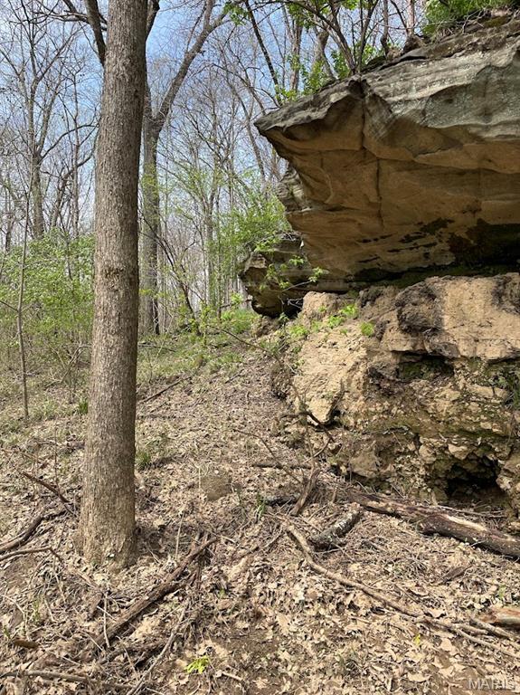 66.9 Acres Hwy, Ah, Union, MO 63084 - photo 23