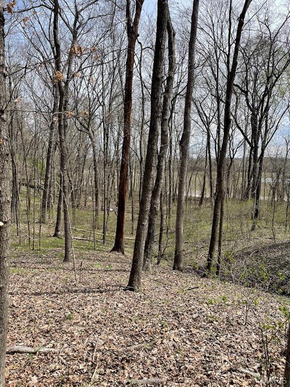 66.9 Acres Hwy, Ah, Union, MO 63084 - photo 26
