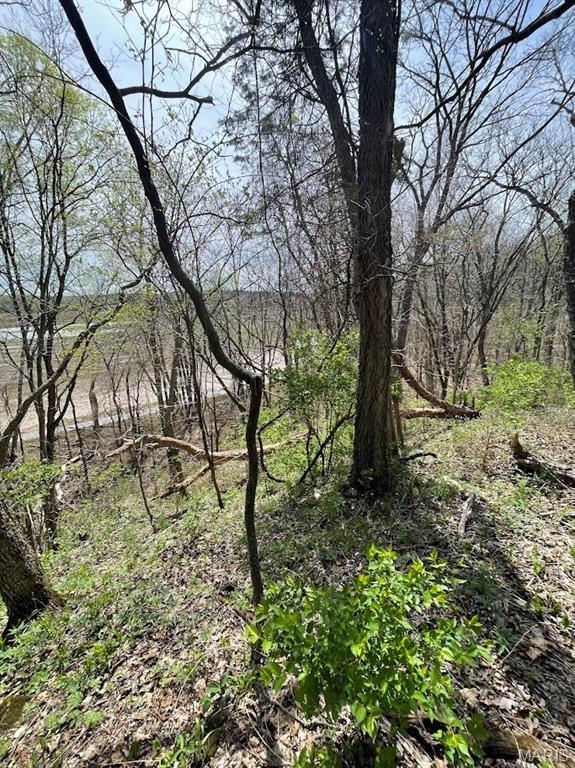 66.9 Acres Hwy, Ah, Union, MO 63084 - photo 27