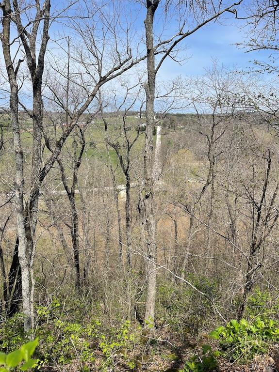 66.9 Acres Hwy, Ah, Union, MO 63084 - photo 29