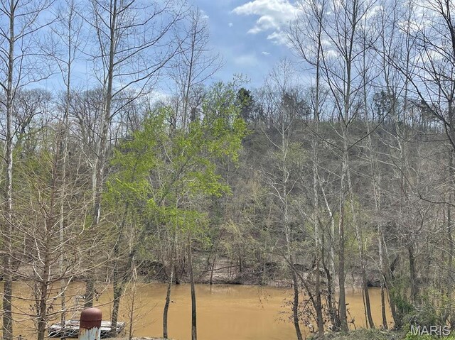 66.9 Acres Hwy, Ah, Union, MO 63084 - photo 34