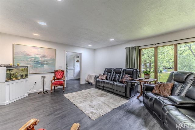 20193 SW Oakwood Dr, Lebanon, MO 65536 - living room featuring dark wood-style floors, recessed lighting, and baseboards