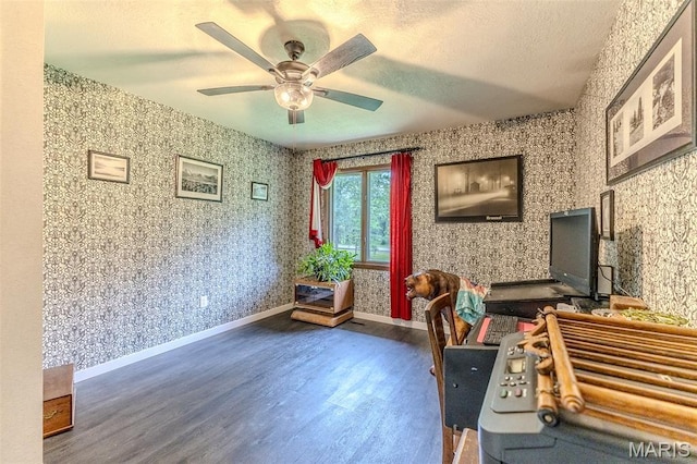 20193 SW Oakwood Dr, Lebanon, MO 65536 - office space featuring wood finished floors, ceiling fan, baseboards, and a textured ceiling