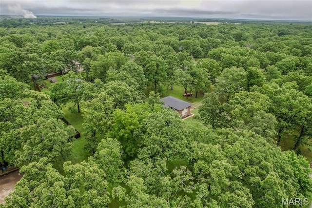 20193 SW Oakwood Dr, Lebanon, MO 65536 - view of property location with a forest