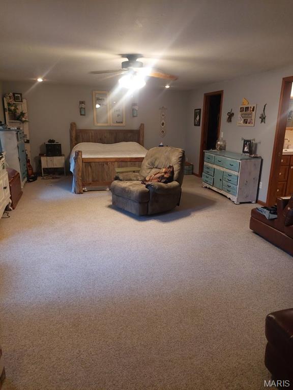 120 Oakland Dr, Hannibal, MO 63401 - photo 11