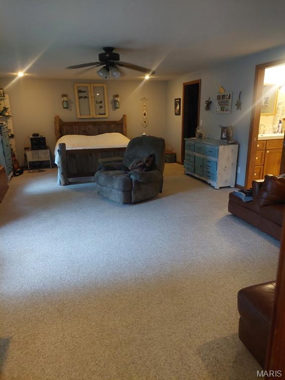 120 Oakland Dr, Hannibal, MO 63401 - photo 12