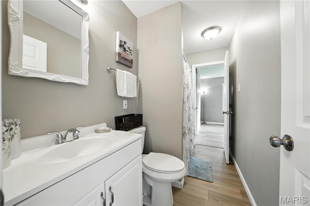 208 Mill Run Ln, Saint Peters, MO 63376 - bathroom with wood finished floors, vanity, and a shower with curtain