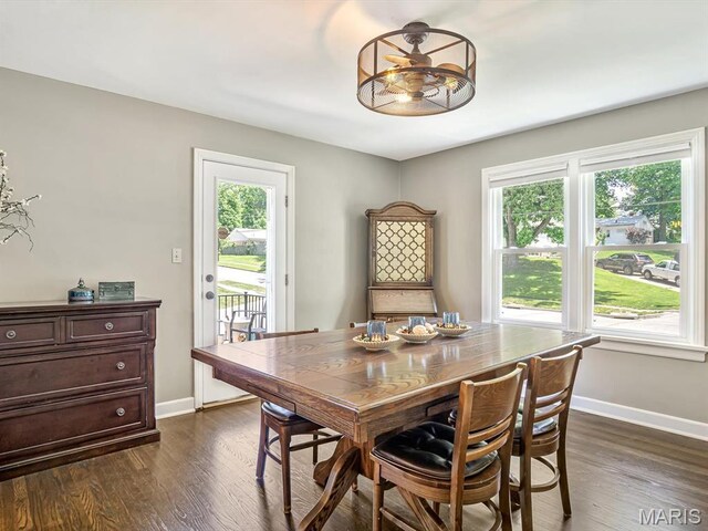 201 Banner St, Edwardsville, IL 62025 - dining area with plenty of natural light, baseboards, and dark wood-style floors