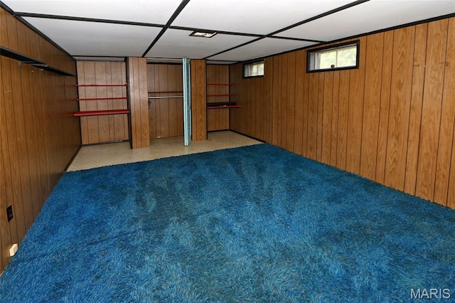 12713 Partridge Run Dr, Florissant, MO 63033 - below grade area featuring wooden walls