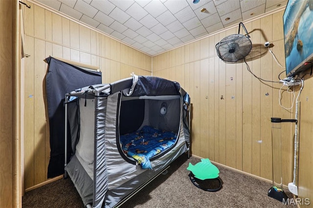 1618 N State St, Litchfield, IL 62056 - miscellaneous room featuring carpet floors and wooden walls