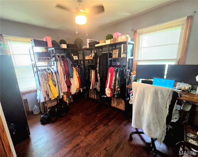 16 Regina Ct, Florissant, MO 63031 - photo 24