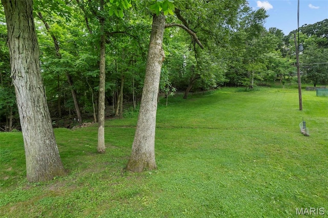1407 Perry Ave, Cape Girardeau, MO 63701 - view of green lawn