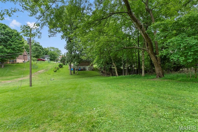 1407 Perry Ave, Cape Girardeau, MO 63701 - view of green lawn