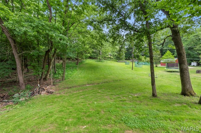 1407 Perry Ave, Cape Girardeau, MO 63701 - view of grassy yard featuring a trampoline