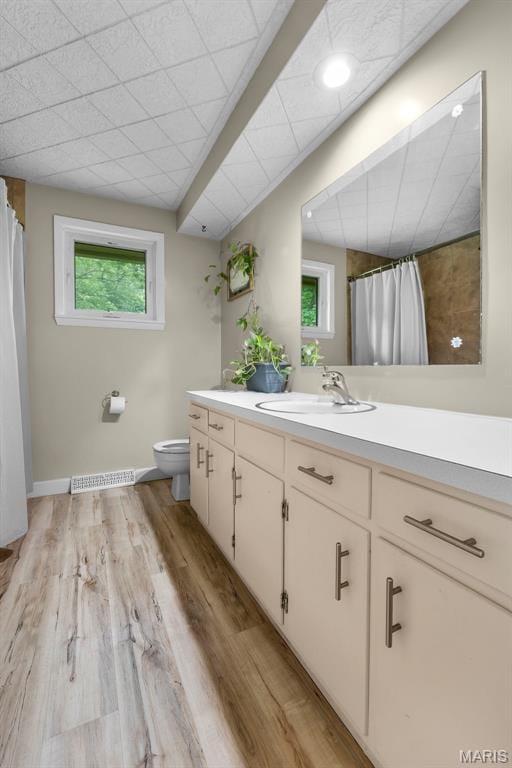 1407 Perry Ave, Cape Girardeau, MO 63701 - full bathroom with vanity, healthy amount of natural light, toilet, and wood finished floors