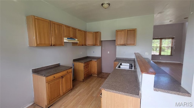 5714 Maple Ave, Saint Louis, MO 63112 - kitchen featuring light wood-style flooring, a sink, brown cabinetry, and under cabinet range hood