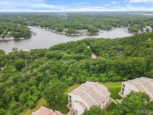 33 Monterey Dr Unit 2A, Lake Ozark, MO 65049 - bird's eye view of a heavily wooded area and a large body of water