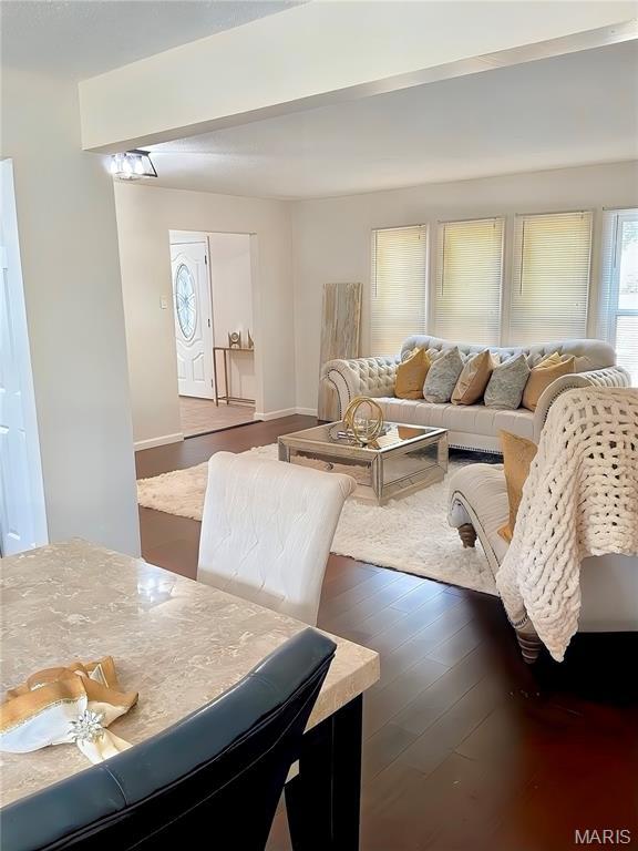 11630 Carolview Dr, Florissant, MO 63033 - living room featuring wood finished floors